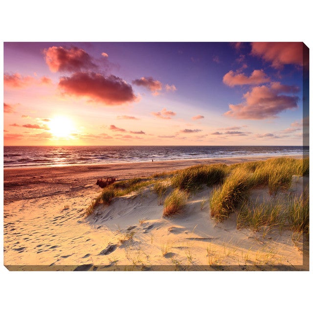 Windswept Indoor/Outdoor Canvas Art