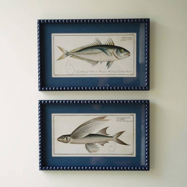 Chart House Fish Wall Art - Set of 2
