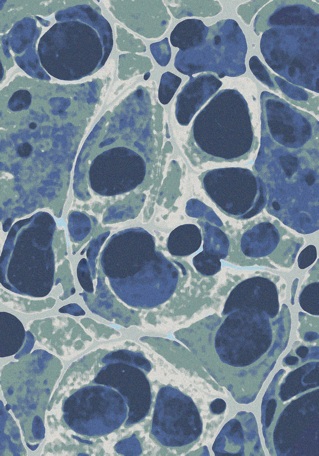 Deep Sea Rug - 3 x 4