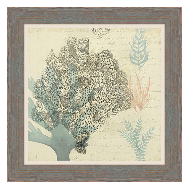 Sea Ephemera III Framed Print