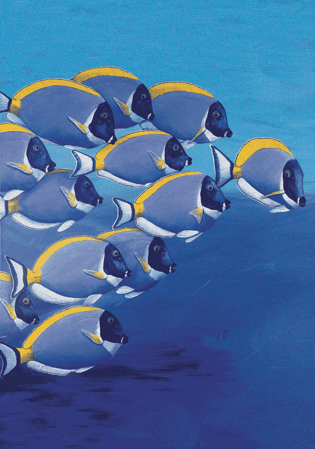 Maldives Rug - 3 x 4