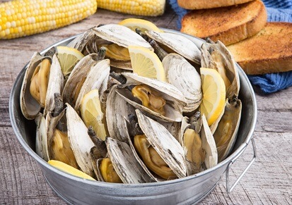 Shelling Out Information About Steamed Clams